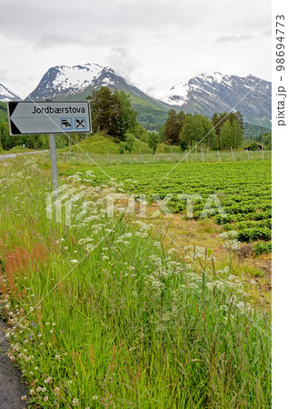 Beautiful norwegian landscape - Andalsnes - Norway 98694773