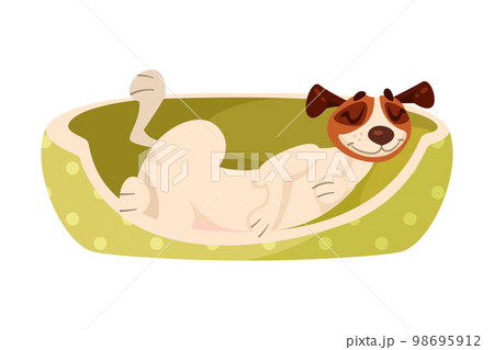 Funny Dog with Spotted Coat and Collar Sleeping Vector Illustration Funny Dog with Spotted Coat and Collar Sleeping Vector Illustration 98695912
