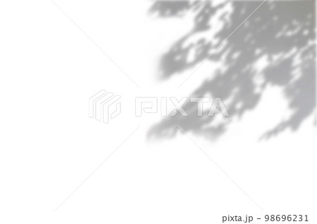 Black and White abstract background textuer of shadows leaf on a white wall. Copy space 98696231