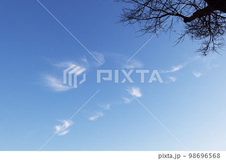 青空にぽつんと浮かぶ白い雲 98696568