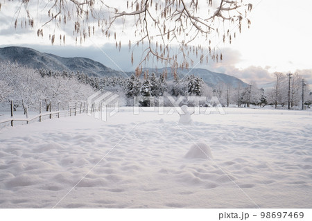 雪景色 滋賀県 高島市 マキノ 雪景色 滋賀県 高島市 マキノ 98697469
