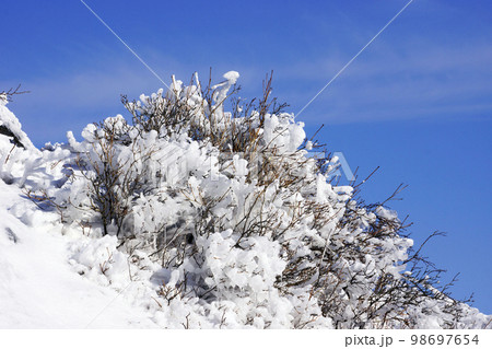 説話 雪花 氷結 98697654