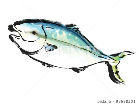 鰤の手描き和風イラスト 98698201