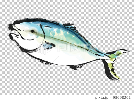 鰤の手描き和風イラスト 98698201