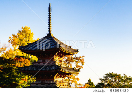 京都府の寶積寺の紅葉と三重塔 京都府の寶積寺の紅葉と三重塔 98698489