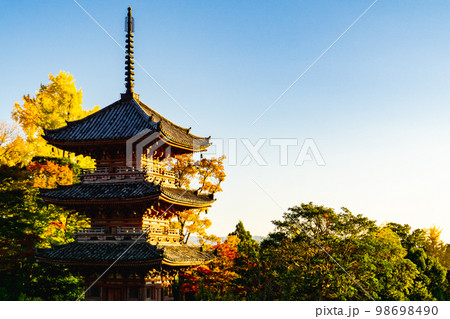 京都府の寶積寺の紅葉と三重塔 京都府の寶積寺の紅葉と三重塔 98698490