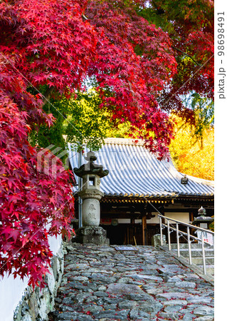京都府の寶積寺の紅葉と本堂 98698491