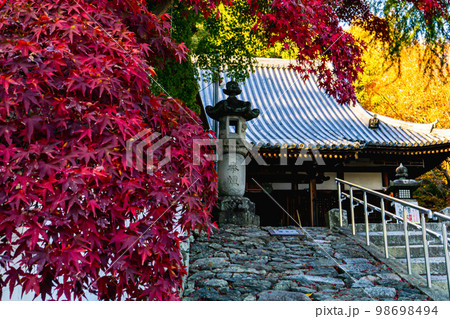 京都府の寶積寺の紅葉と本堂 京都府の寶積寺の紅葉と本堂 98698494