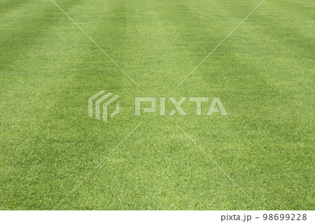 Green grass background green lawn pattern textured background. Green grass background green lawn pattern textured background. 98699228