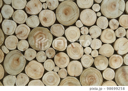 A cross section of the trees lined up for the background. A cross section of the trees lined up for the background. 98699258