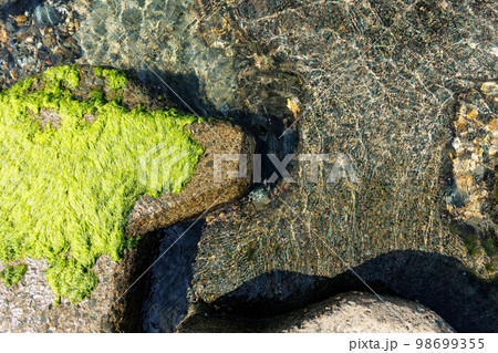夏の夏泊半島の海岸（青森県平内町）防波ブロック 98699355