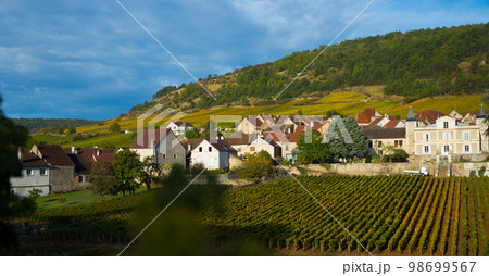 Saint-Aubin in Burgundy on sunny day 98699567