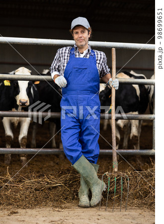 Portrait of tired middle-aged male farmer in overalls with rake in middle of cowshed in autumn 98699651
