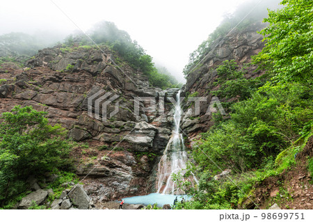 自然 水 滝 98699751