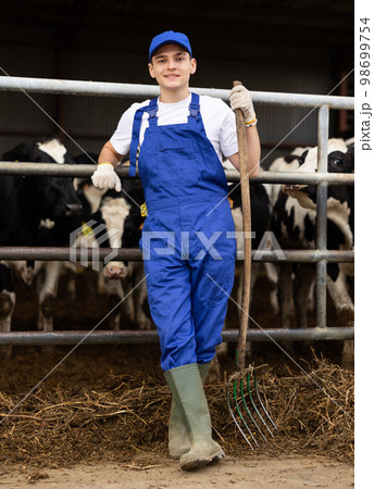Hardworking young guy farmer in overalls with rake while working on dairy livestock farm Hardworking young guy farmer in overalls with rake while working on dairy livestock farm 98699754