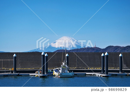 ひらつかタマ三郎漁港フィシャリーナから見る雪の富士山(冬、一月) ひらつかタマ三郎漁港フィシャリーナから見る雪の富士山(冬、一月) 98699829