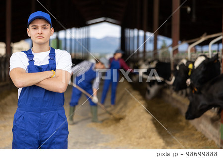 Young boy farmer posing while feeding cows at farm 98699888