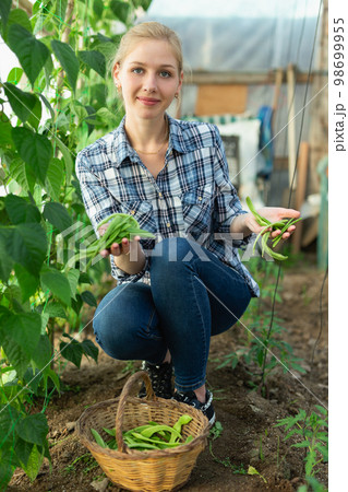 Positive girl gardener selecting fresh harvest of soybeans to basket 98699955