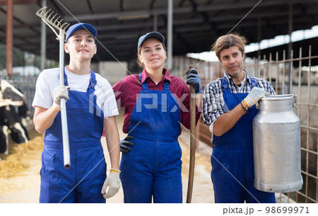 Three dairy farm workers with pitchforks and can of milk stand in cowshed Three dairy farm workers with pitchforks and can of milk stand in cowshed 98699971