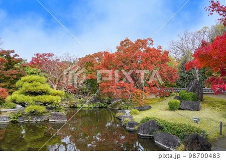 青空バックに見るちょうど見頃の見事なモミジの紅葉情景＠兵庫 98700483