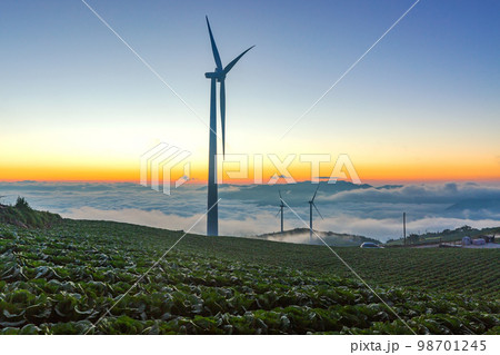 エネルギー 自然 畑 98701245