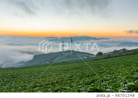 エネルギー 自然 畑 98701248