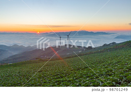 エネルギー 自然 畑 98701249