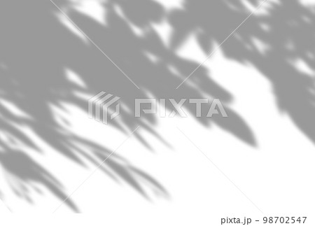 背景イラスト_木漏れ日 背景イラスト_木漏れ日 98702547