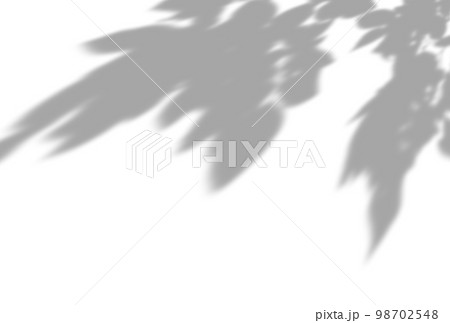 背景イラスト_木漏れ日 98702548