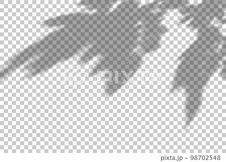 背景イラスト_木漏れ日 98702548