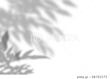 背景イラスト_木漏れ日 98702575