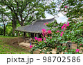 スポット 花 観光地 98702586
