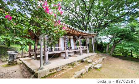 スポット 花 観光地 98702587