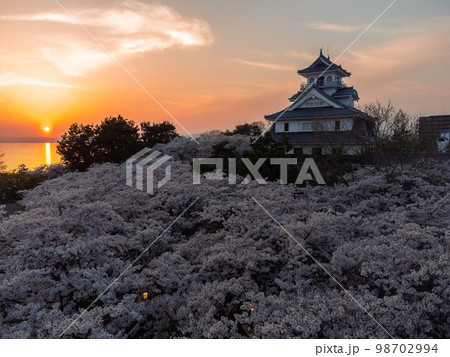 4月滋賀・長浜 長浜城天守閣と桜と琵琶湖(夕景) 4月滋賀・長浜 長浜城天守閣と桜と琵琶湖(夕景) 98702994