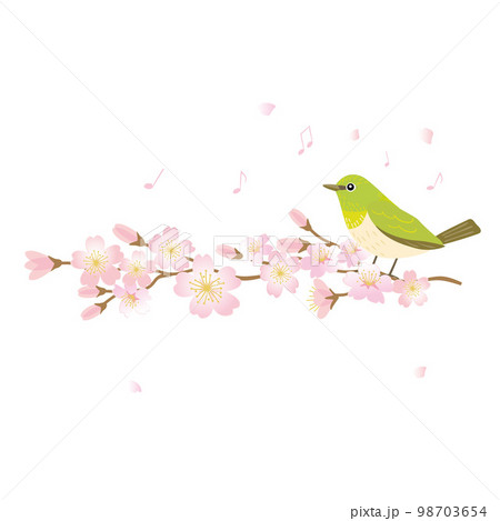 桜の枝とメジロのイラスト 桜の枝とメジロのイラスト 98703654