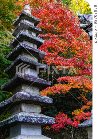 京都府の寶積寺の紅葉と九重石塔 京都府の寶積寺の紅葉と九重石塔 98703959