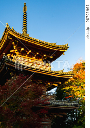 京都府の寶積寺の紅葉と三重塔 98703961
