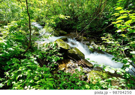 余市岳登山道の余市川源流の沢 余市岳登山道の余市川源流の沢 98704250