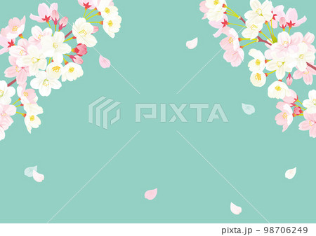 桜 背景イラスト 桜 背景イラスト 98706249