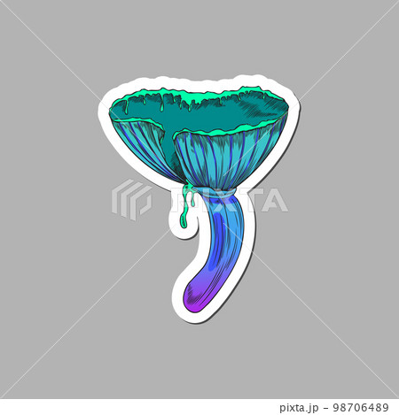 Hand drawn toxic psychedelic mushroom, sketch vector illustration isolated on gray background. 98706489