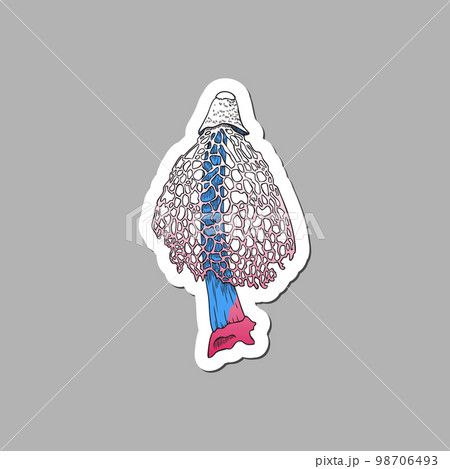 Hand drawn magic fairy mushroom, sketch vector illustration isolated on gray background. 98706493