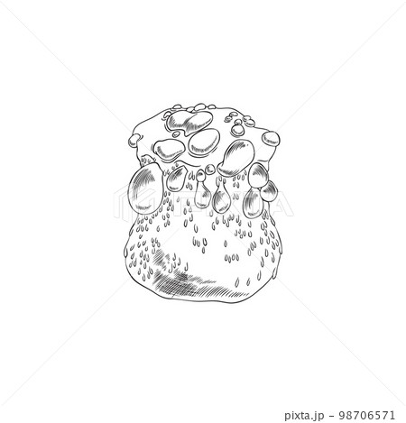 Poisonous mushroom amanita with drops of poison, vector illustration isolated. 98706571
