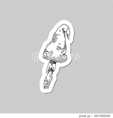 Dangerous psychedelic mushroom, monochrome sketch vector illustration isolated on gray background. Dangerous psychedelic mushroom, monochrome sketch vector illustration isolated on gray background. 98706608