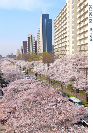 上から見た葛西用水桜通り（東京都足立区） 98706754
