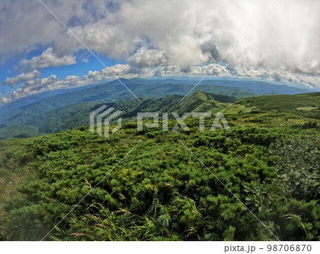 余市岳山頂の這松帯と無意根山・中岳 98706870