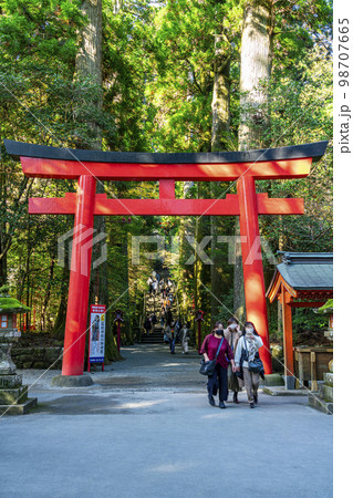 【神奈川県】豊かな自然に囲まれた箱根神社 98707665