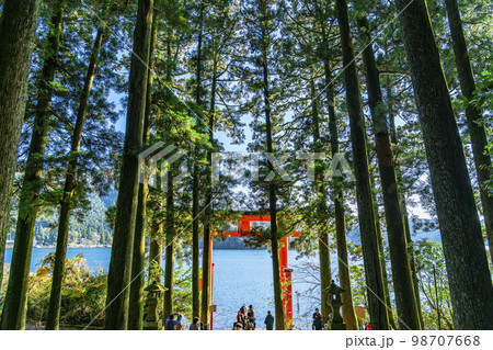 【神奈川県】豊かな自然に囲まれた箱根神社の平和の鳥居 98707668