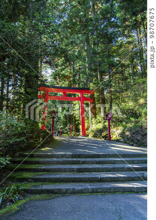 【神奈川県】豊かな自然に囲まれた箱根神社 98707675