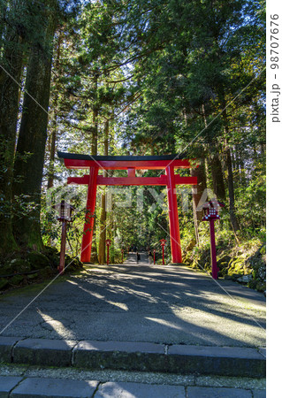 【神奈川県】豊かな自然に囲まれた箱根神社 98707676