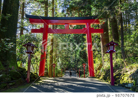 【神奈川県】豊かな自然に囲まれた箱根神社 98707678